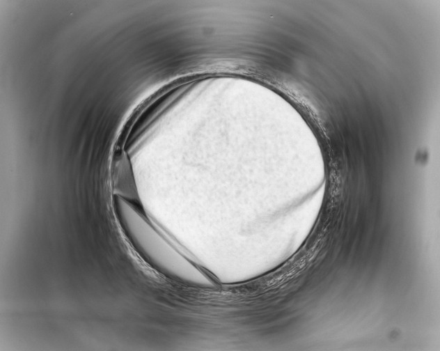 X0000098220792200805221647