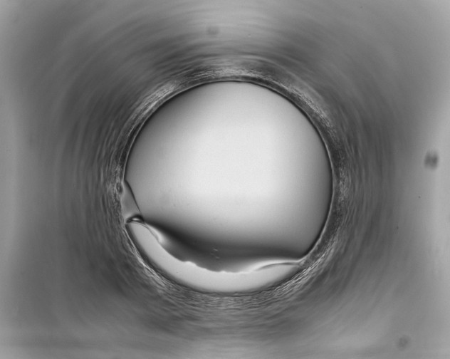 X0000098220793200805221647