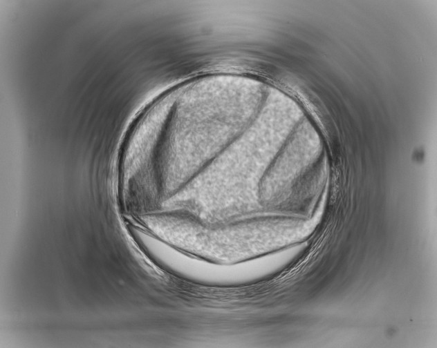 X0000098220795200805221647