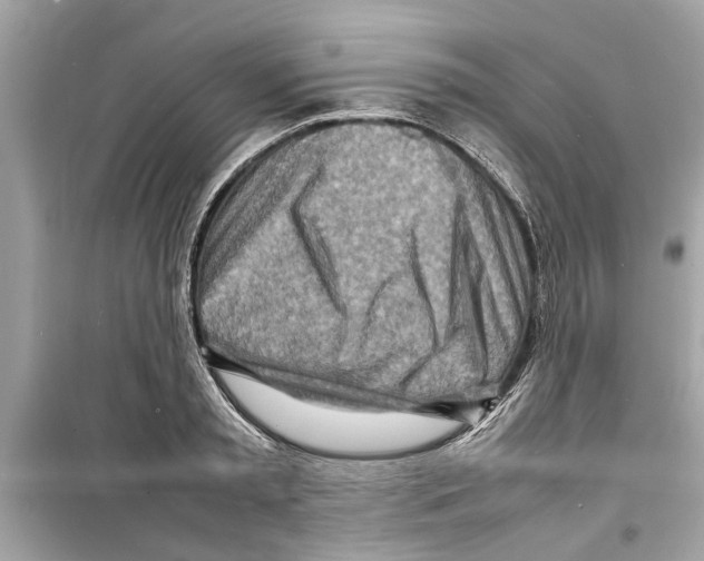 X0000098220797200805221647
