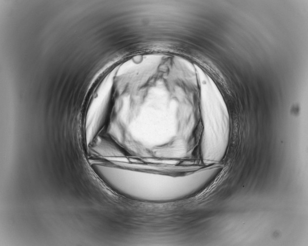 X0000098220798200805221647
