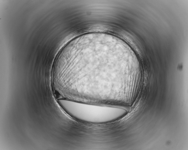 X0000098220802200805221647