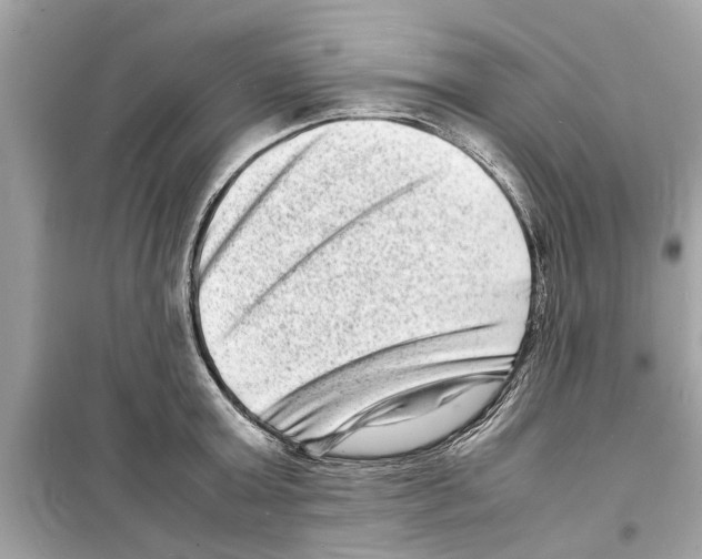 X0000098220803200805221647