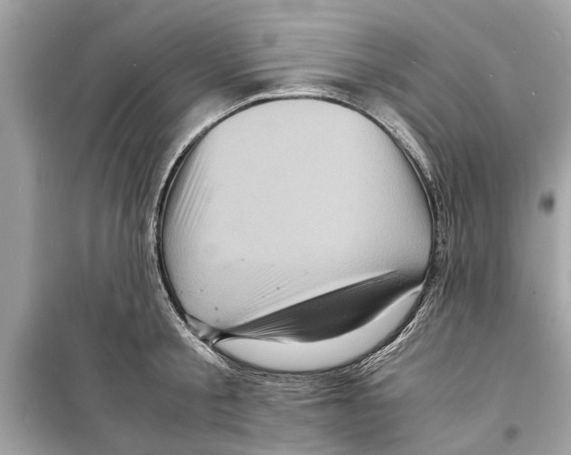 X0000098220805200805221647