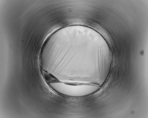 X0000098220806200805221647