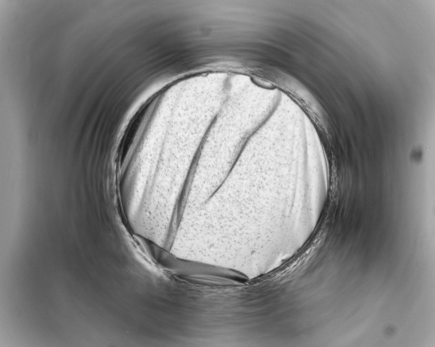 X0000098220808200805221647