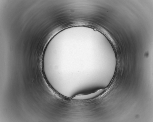 X0000098220810200805221647