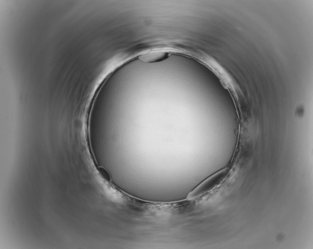X0000098220813200805221647