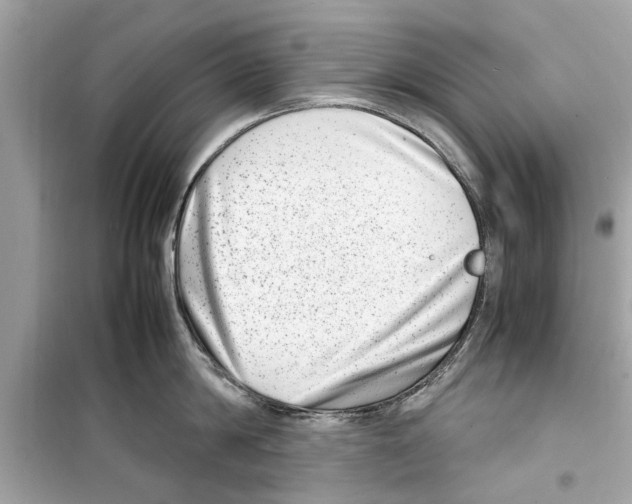 X0000098220814200805221647