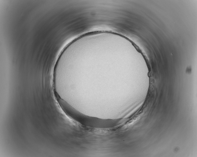 X0000098220815200805221647