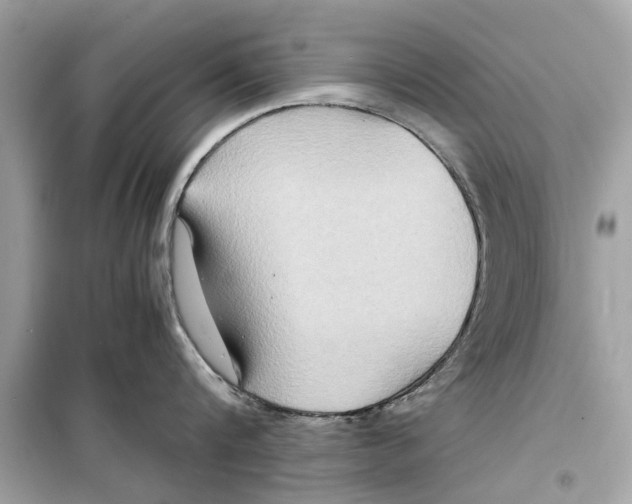 X0000098220816200805221647