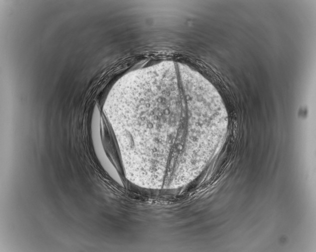 X0000098220818200805221646