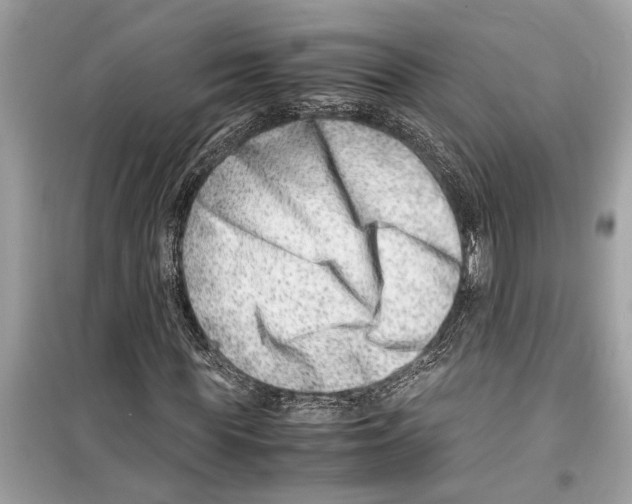 X0000098220819200805221646
