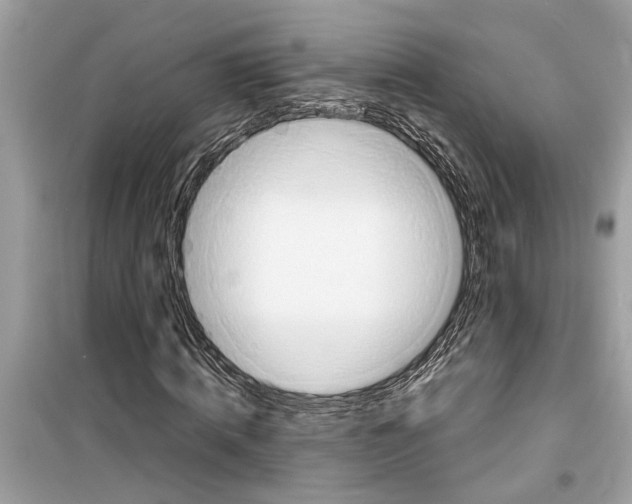 X0000098220820200805221646