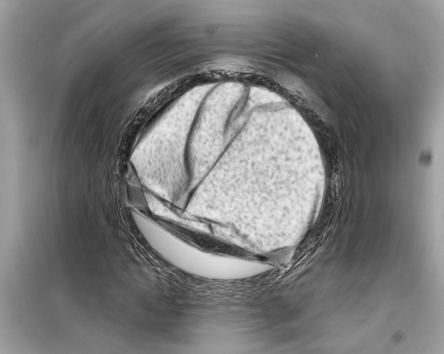 X0000098220822200805221646