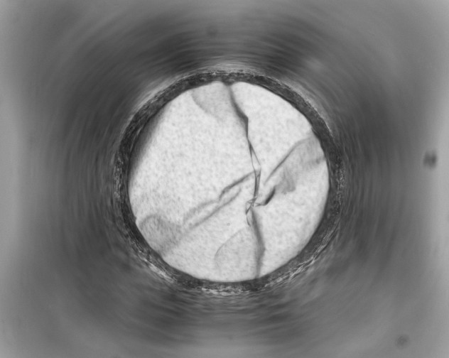 X0000098220823200805221646