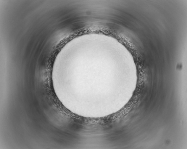 X0000098220824200805221646
