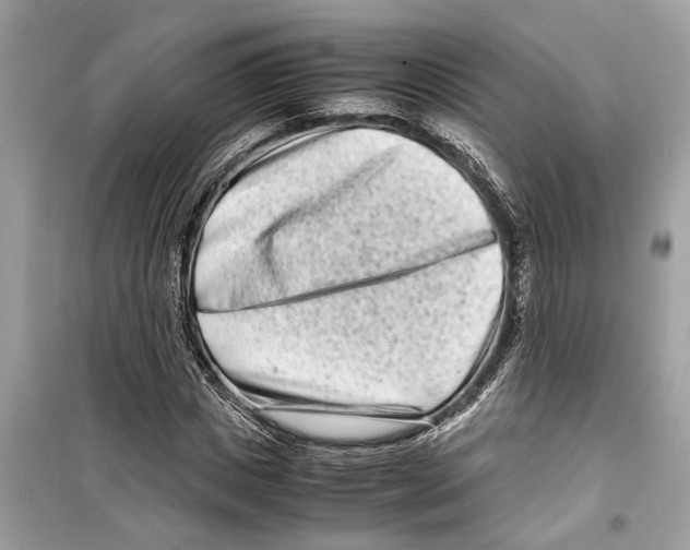 X0000098220825200805221646