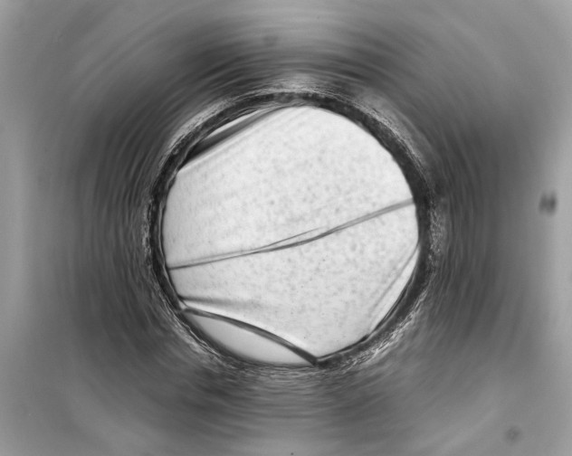 X0000098220826200805221646