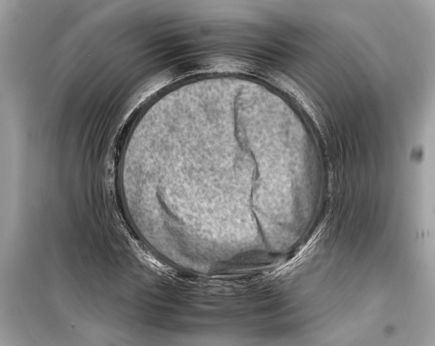 X0000098220827200805221646