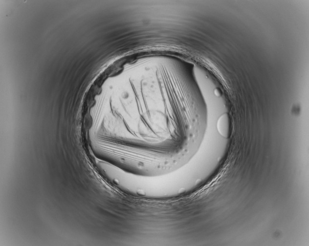 X0000098220828200805221646