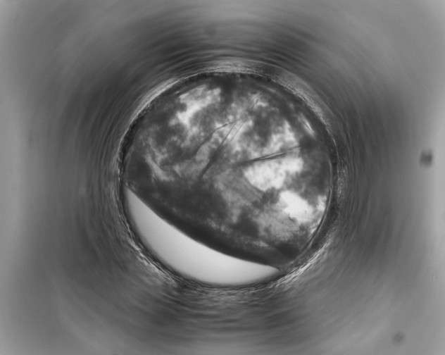 X0000098220829200805221646