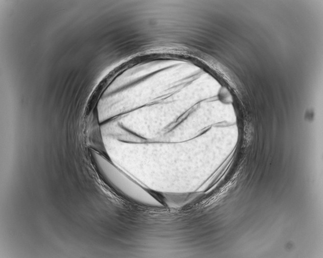X0000098220830200805221646