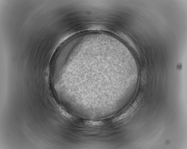 X0000098220831200805221646