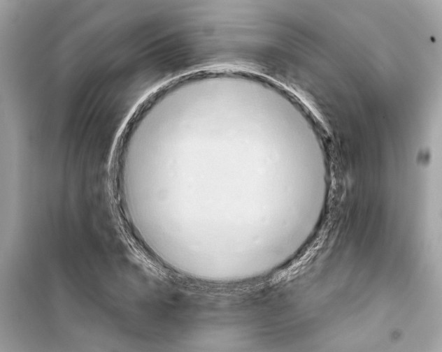 X0000098220832200805221646