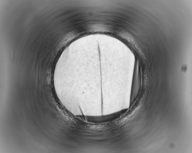 X0000098220833200805221646
