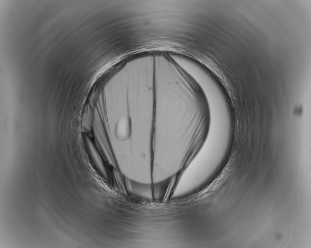 X0000098220834200805221646