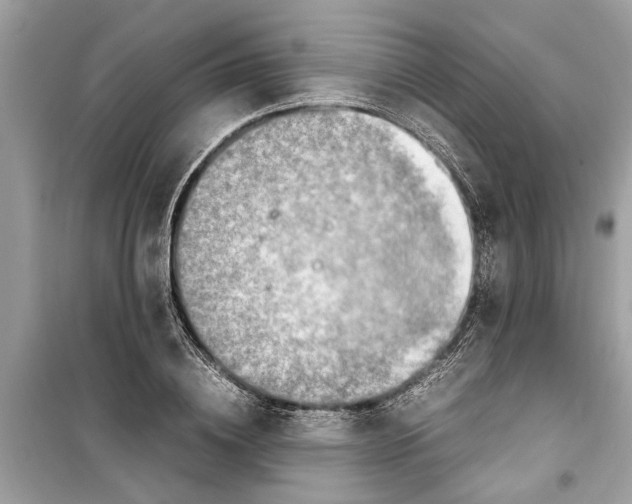 X0000098220836200805221646