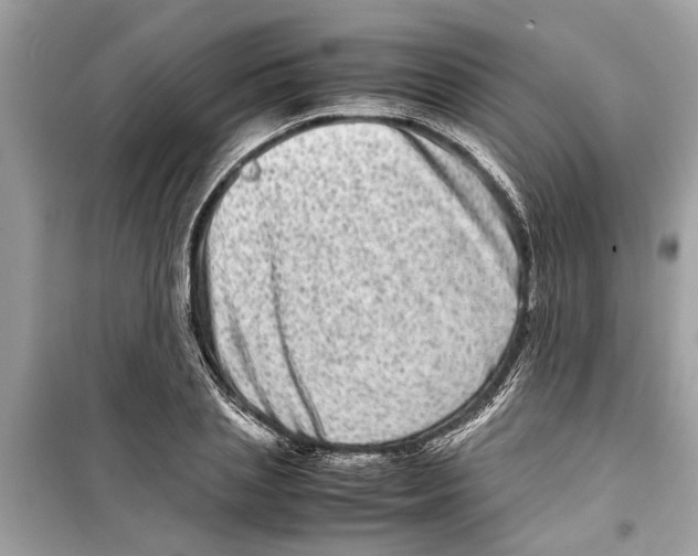 X0000098220837200805221646