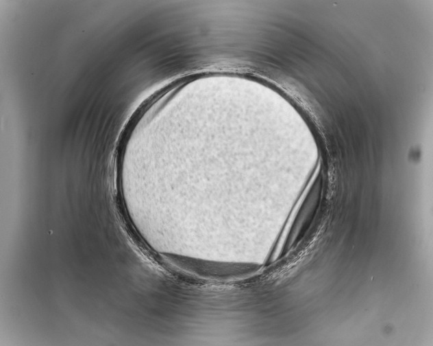 X0000098220838200805221646