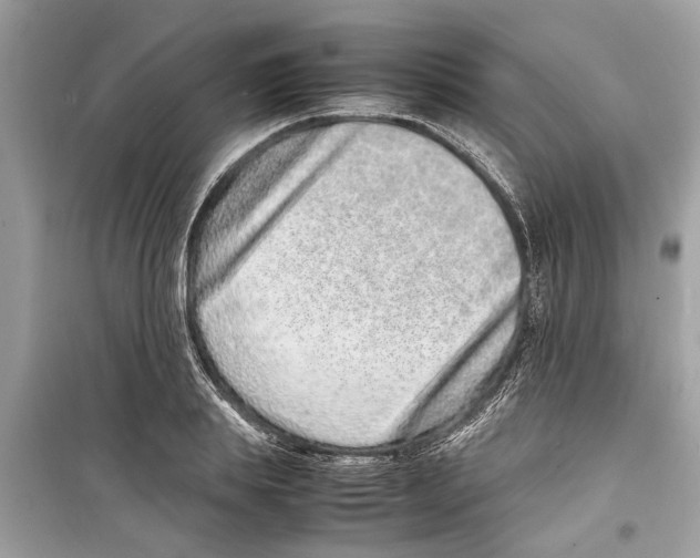 X0000098220839200805221646