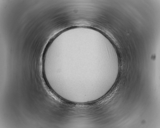 X0000098220840200805221646