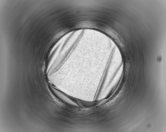 X0000098220841200805221646
