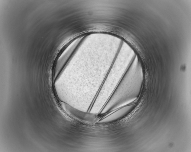 X0000098220842200805221646