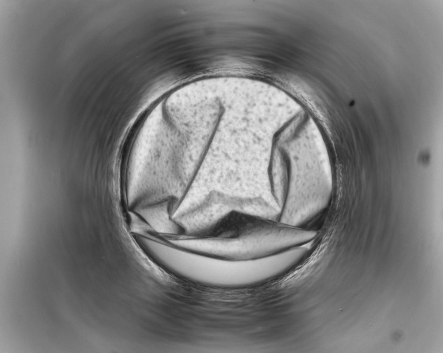 X0000098220843200805221646