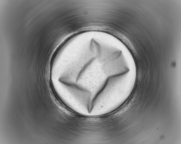 X0000098220844200805221646