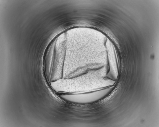 X0000098220845200805221646