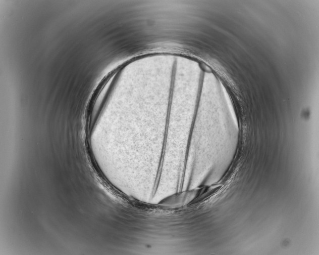 X0000098220846200805221646