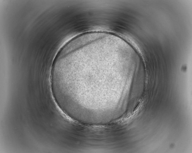 X0000098220847200805221646