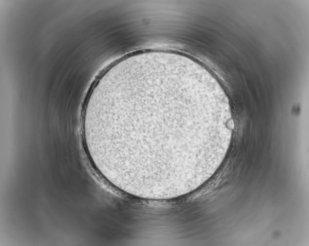 X0000098220848200805221647