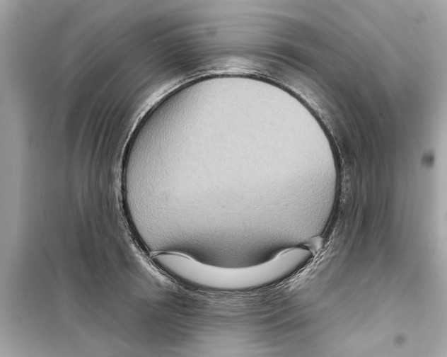 X0000098220850200805221647