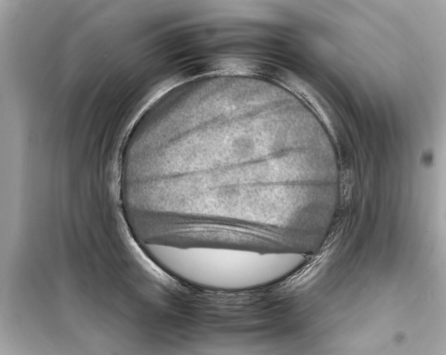 X0000098220851200805221647