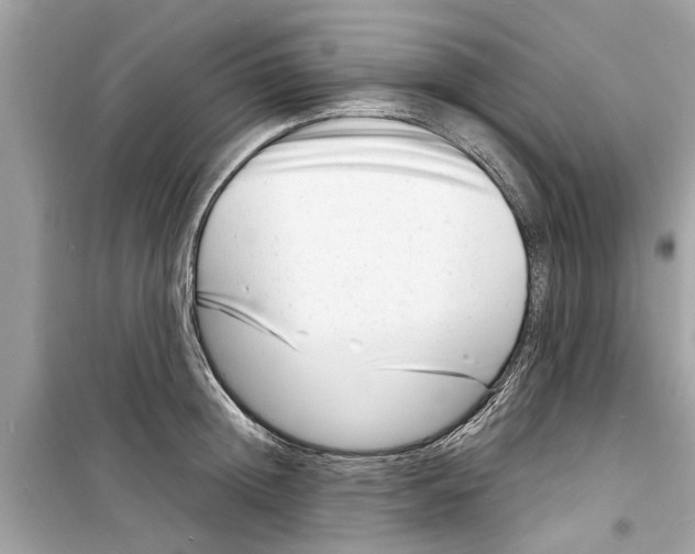 X0000098220852200805221647
