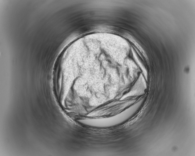X0000098220853200805221647