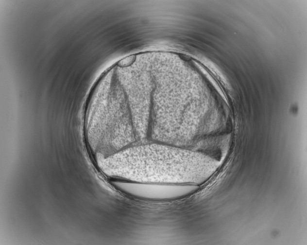 X0000098220854200805221647