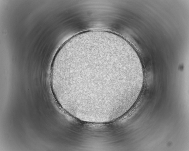 X0000098220856200805221647